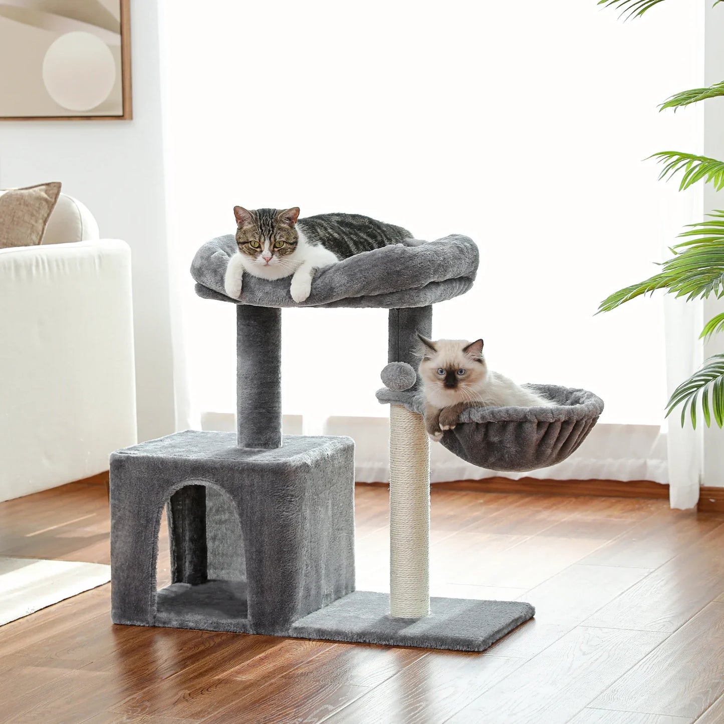 Arbre à Chat - CatCondo™ - Hamac