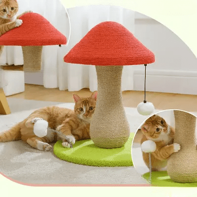 Arbre à Chat - MushroomCatTower™ - Chat Récréatif